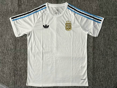 25-26 Argentina Training Cheap Soccer Jerseys