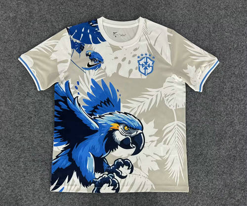 25-26 Brazil Special Cheap Soccer Jerseys