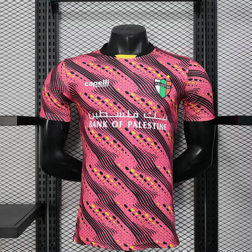 25-26 Palestine Player Version Cheap Soccer Jerseys