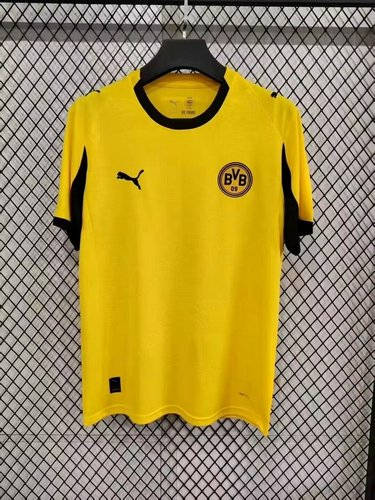 25-26 Dortmund Special Cheap Soccer Jerseys