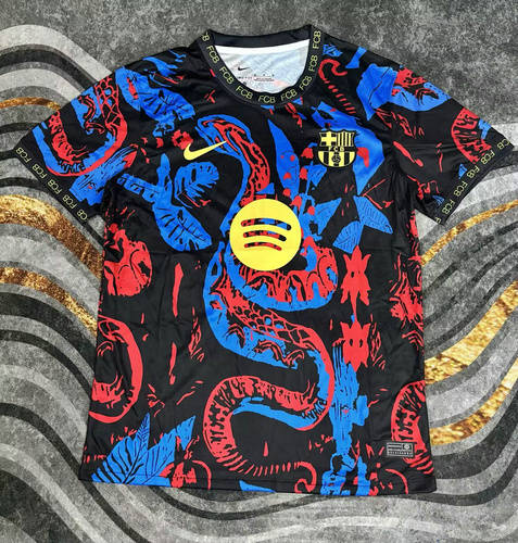 25-26 Barcelona Special Cheap Soccer Jerseys