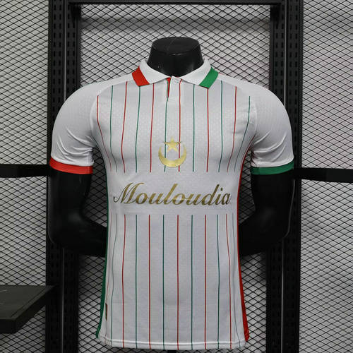 25-26 Palestine Player Version Cheap Soccer Jerseys