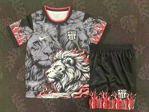 25-26 Barcelona Special Kids Cheap Soccer Jerseys