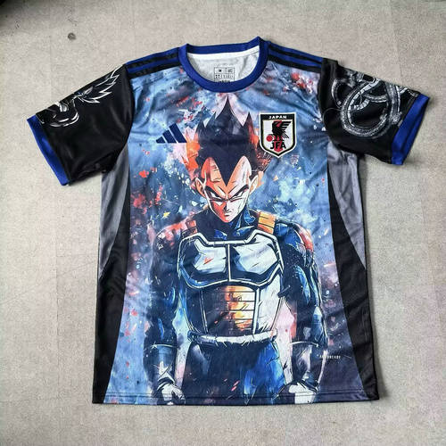 25-26 Japan Cheap Soccer Jerseys