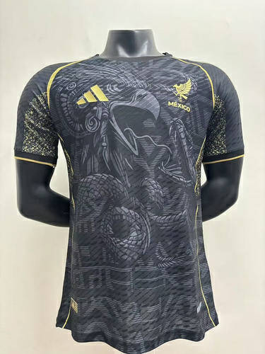 25-26 Mexico Special Player Version Cheap Soccer Jerseys