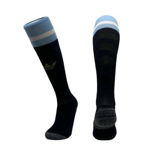 2025 Argentina Socks