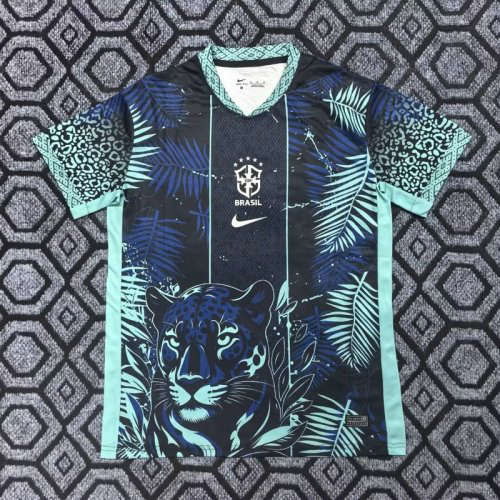 25-26 Barcelona Special Player Version Cheap Soccer Jerseys