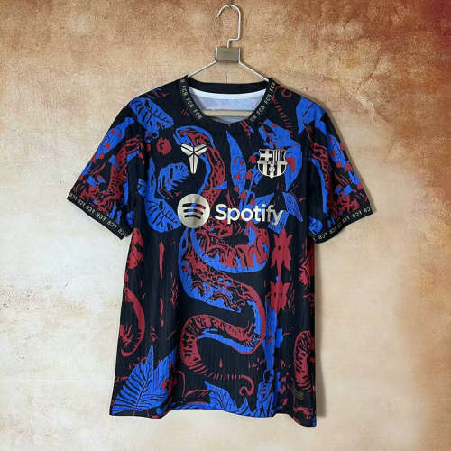 25-26 Barcelona Special Cheap Soccer Jerseys