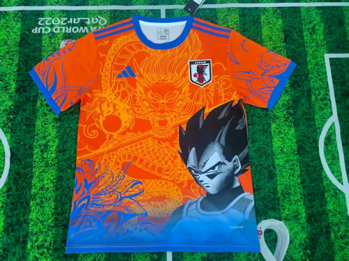 25-26 Japan Cheap Soccer Jerseys