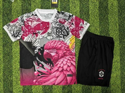 25-26 Brazil Special Kids Cheap Soccer Jerseys