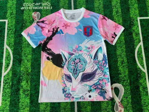 25-26 Japan Cheap Soccer Jerseys