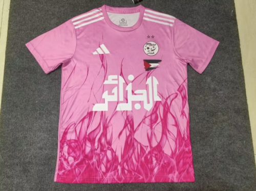 2025 Algeria Special Cheap Soccer Jerseys
