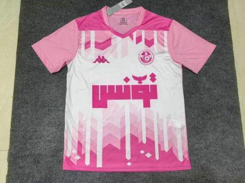 2025 Tunisia Special Cheap Soccer Jerseys