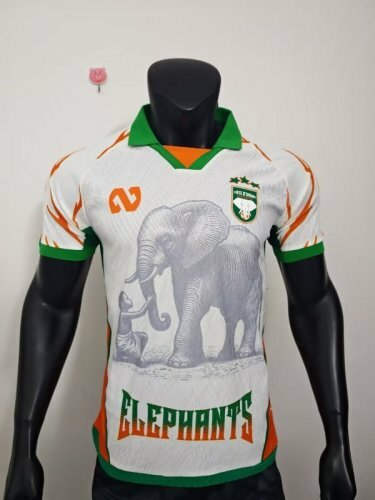 25-26 Ivory Coast Player Version Cheap Soccer Jerseys