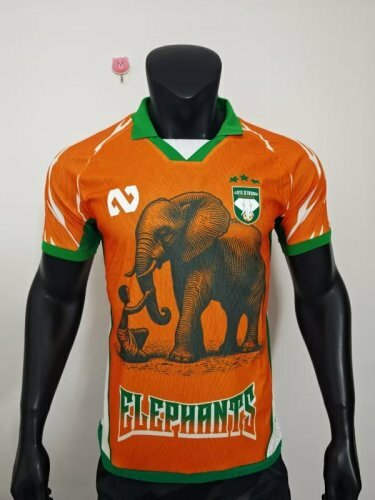 25-26 Ivory Coast Player Version Cheap Soccer Jerseys