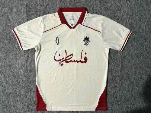 25-26 Palestine Special Cheap Soccer Jerseys