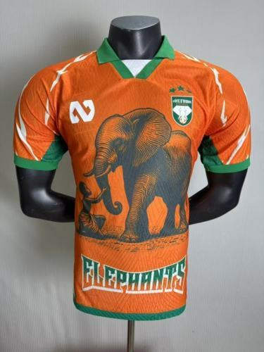 2025 Cote d Ivoire Special Player Version Cheap Soccer Jerseys