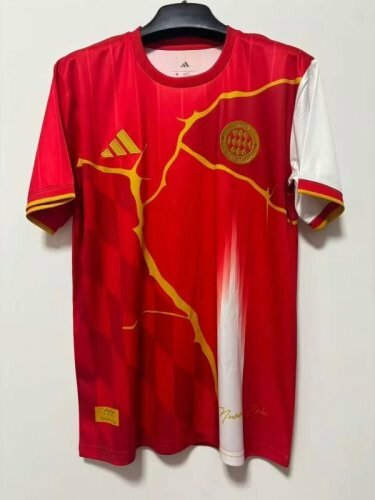 25-26 Bayern Special Cheap Soccer Jerseys
