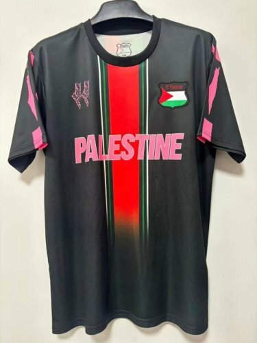 25-26 Palestine Cheap Soccer Jerseys 