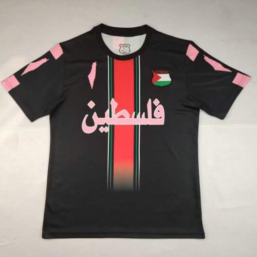 2025 Palestine Special Cheap Soccer Jerseys