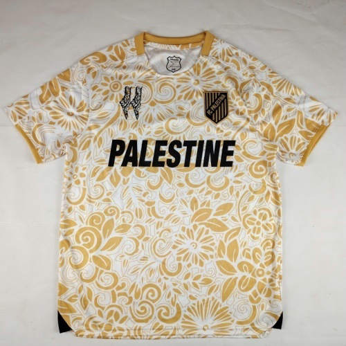 2025 Palestine Special Cheap Soccer Jerseys