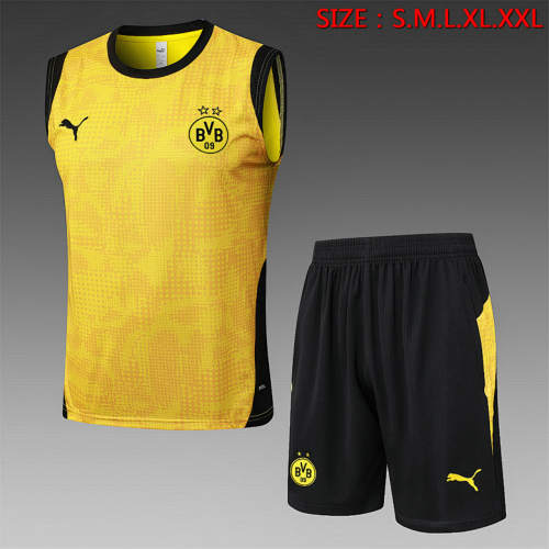 25-26 Dortmund Training Soccer Vest 