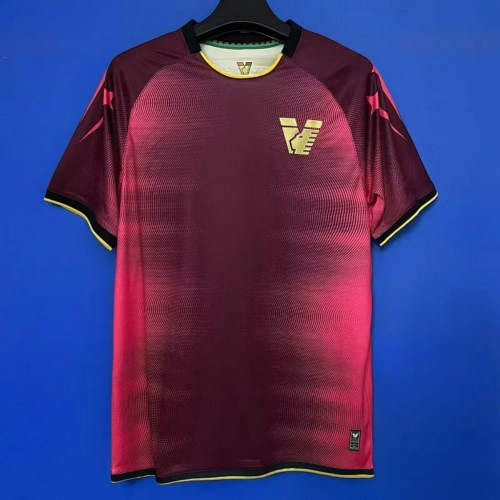 25-26 Venezia Training Cheap Soccer Jerseys