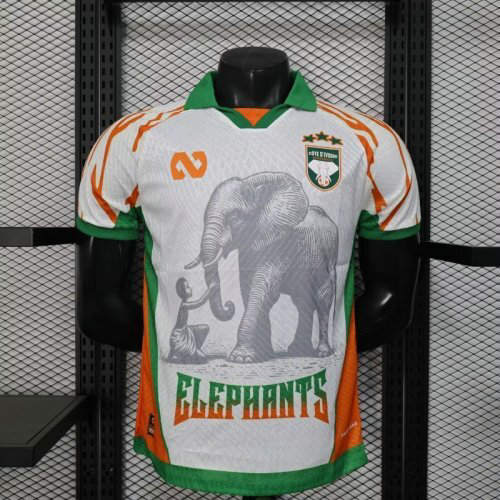 25-26 Ivory Coast Player Version Cheap Soccer Jerseys