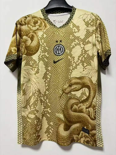 25-26 Inter Milan Special Cheap Soccer Jerseys