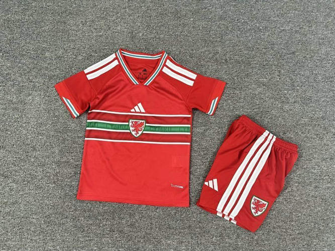 25-26 Welsh Home Kids Cheap Soccer Jerseys 