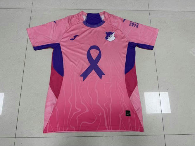 25-26 Hoffenheim Special Cheap Soccer Jerseys