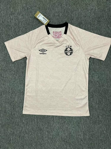 25-26 Gremio Special Cheap Soccer Jerseys 