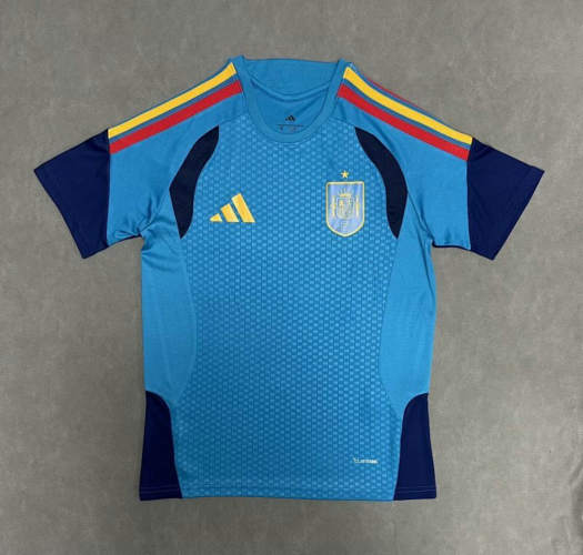 2026 Spain Training Cheap Soccer Jerseys 