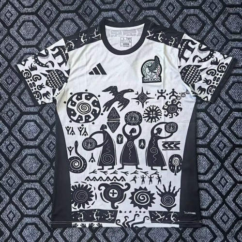2025 Mexico Special Cheap Soccer Jerseys