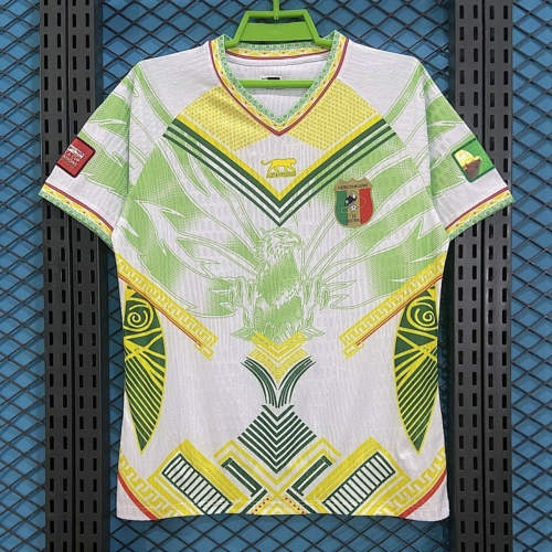 2026 Mali Special Cheap Soccer Jerseys 