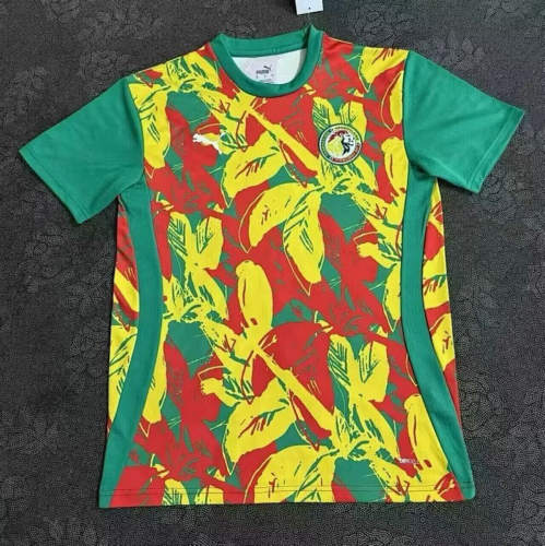 2025 Senegal Cheap Soccer Jerseys