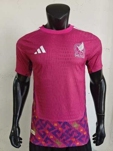 2026 Mexico Goalkeeper Player Version Cheap Soccer Jerseys
