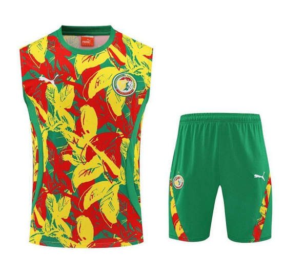 25-26 Senegal Training Soccer Suit