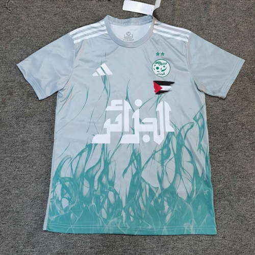 2025 Algeria Special Cheap Soccer Jerseys 