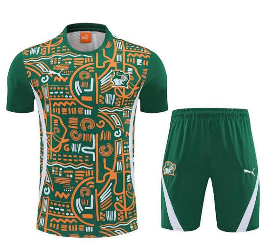 25-26 Ivory Coast Training Soccer Suit