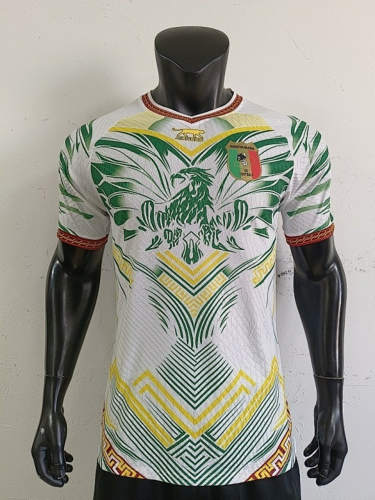 2026 Mali Special Player Version Cheap Soccer Jerseys 