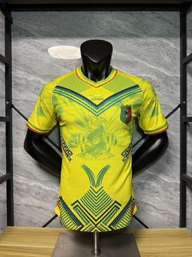 2026 Mali Special Player Version Cheap Soccer Jerseys