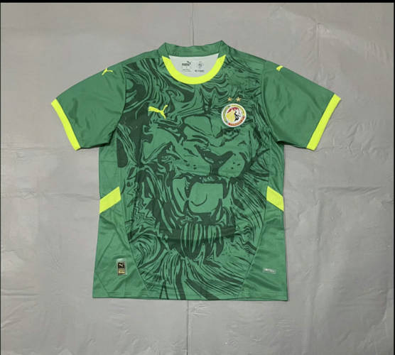 2025 Senegal Away Cheap Soccer Jerseys 