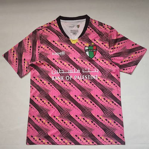 2026 Palestine Special Cheap Soccer Jerseys 