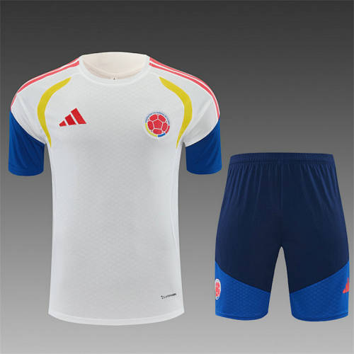 26-27 Colombia Training Soccer Suit