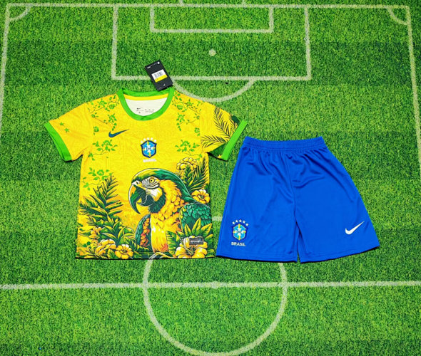 2026 Brazil Special Kids Cheap Soccer Jerseys