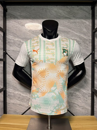 2026 Cote d Ivoire Away Player Version Cheap Soccer Jerseys