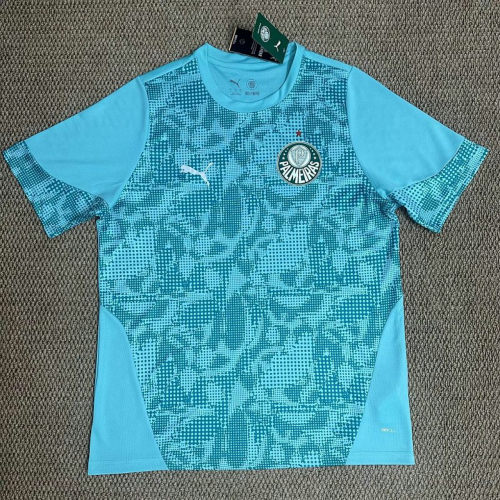 26-27 Palmeiras Training Cheap Soccer Jerseys 