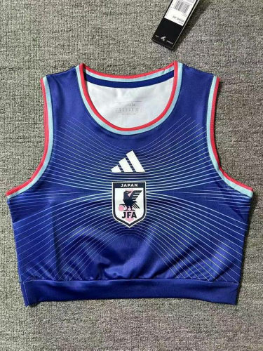 2026 Japan Home Women Cheap Soccer Jerseys