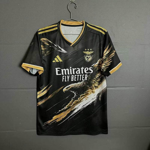 25-26 Benfica Special Cheap Soccer Jerseys